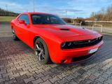 Andere DODGE CHALLENGER 2018 3,6 V6 SXT PLUS VOLL... - Andere: Sportwagen