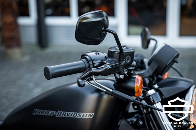 Fahrzeugabbildung Harley-Davidson XL883N SPORTSTER IRON - HEIZGRIFFE - Wartung neu