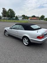 Mercedes-Benz CLK 320 Cabrio - Mercedes-Benz CLK 320 aus 1999: Cabrio