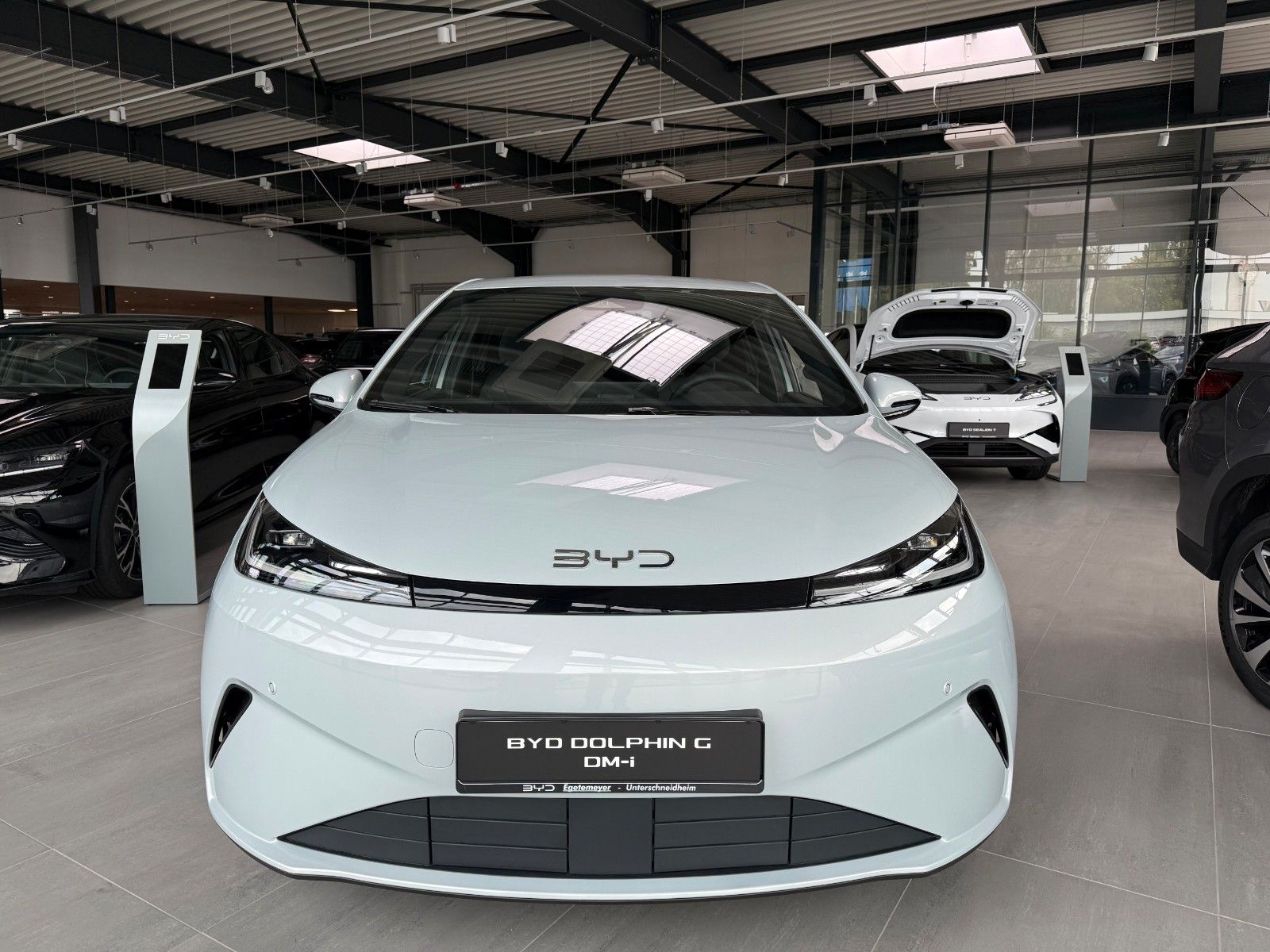 BYD DOLPHIN