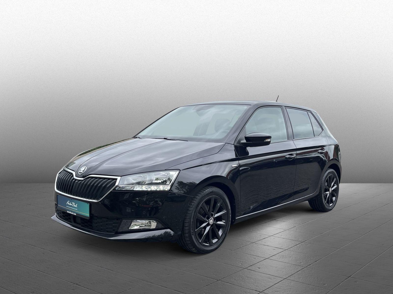 Skoda Fabia Clever 1.0TSI GRA ACC Sitzhzg Car Play