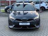 Kia Proceed 1.5 T GT-Line Technologie Paket Leder - Kia pro cee'd / ProCeed in Frankfurt (Main)