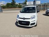 Fiat FIAT Panda Panda 1.0 FireFly S&S Hybrid Launch E - Fiat Panda: La