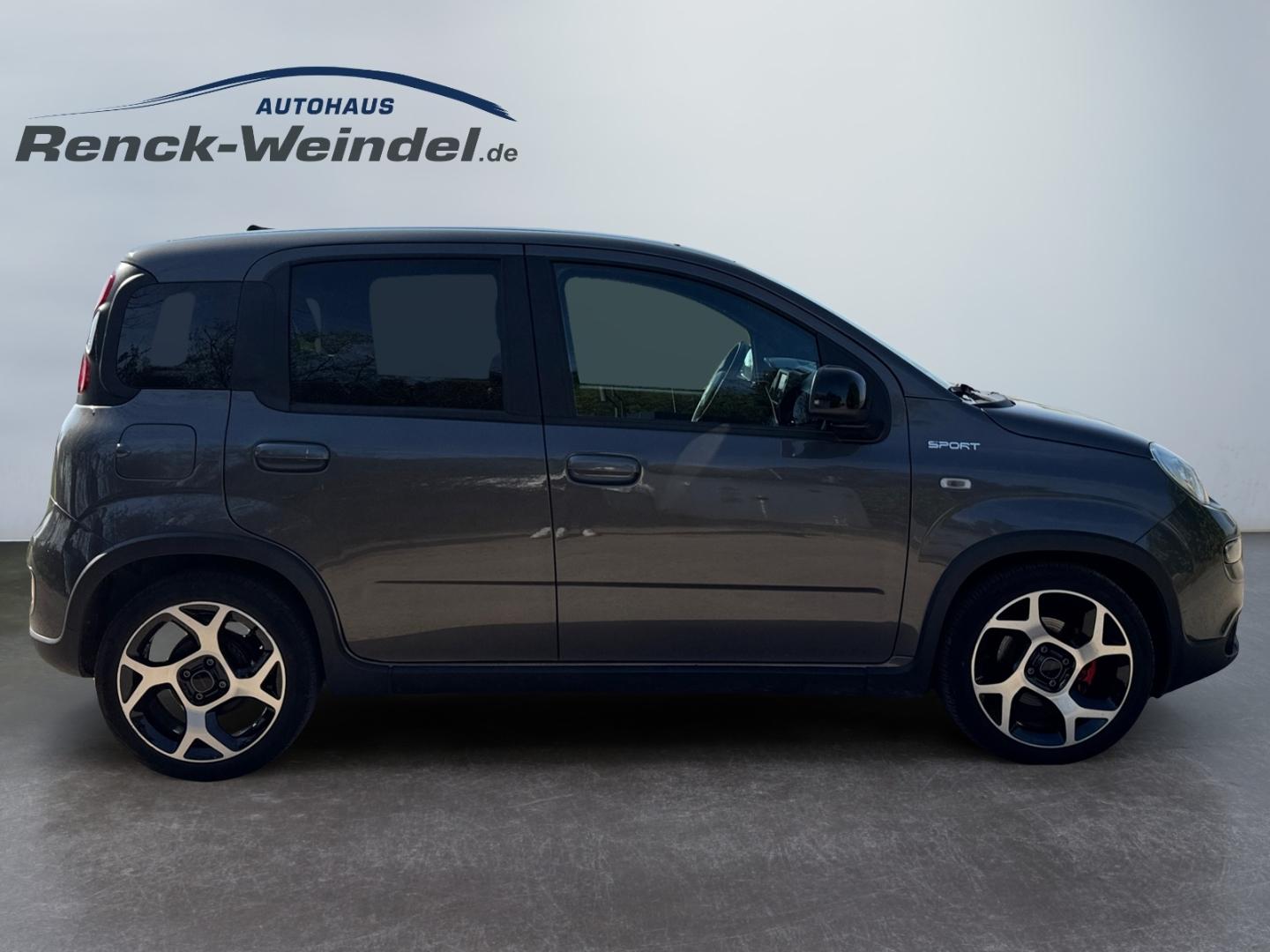 Fiat Panda Sport 1,0 GSE Klima Sportpaket DAB PDC Ber