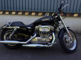 Harley-Davidson Sportster XL 883 Low - HARLEY-DAVIDSON SPORTSTER 883 LOW