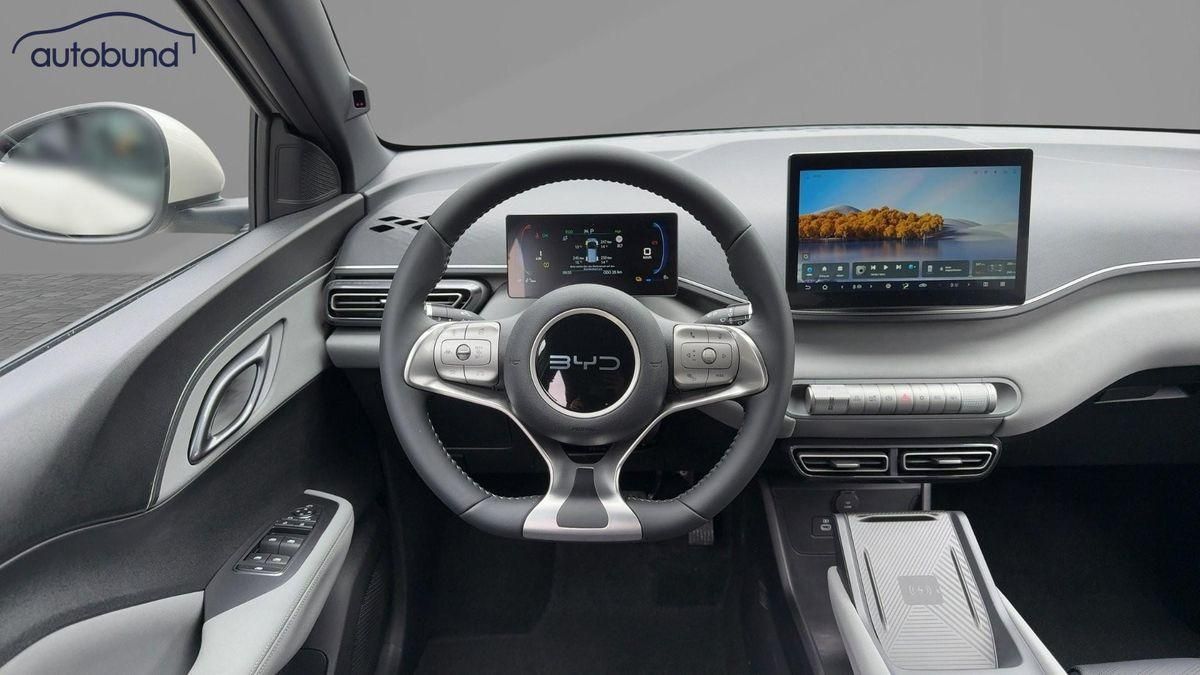 BYD DOLPHIN SURF