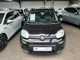 Fiat Panda City Life - gebrauchte Fiat Panda aus dem Jahr 2022