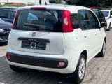 Fiat Panda Lounge  *1.Hand*Wenig Km*Klima*Alu*Top* - Fiat Panda: Km H