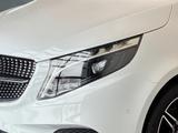 Mercedes-Benz Marco Polo 250 d 4MATIC EDITION AMG-LINE+360°+AL - Mercedes-Benz Wohnwagen & Wohnmobile