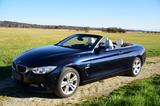 BMW 435d xDrive Cabrio Luxury Line Standhzg, Head-Up