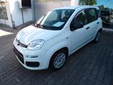 Fiat Panda Pop - Fiat Panda: Pop