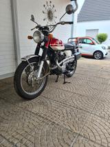 Honda CL 250 Scrambler - Offers