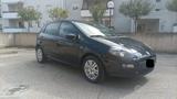 Fiat Punto 1.3 multijet lounge - Fiat Punto mit Diesel-Antrieb: Multijet