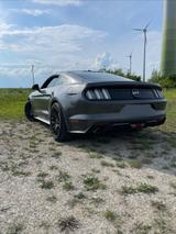 Ford Mustang 5.0 Ti-VCT V8 GT  - Ford Mustang in Hamm