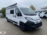 Chausson Vans V594 First Line Frühlingsaktion 