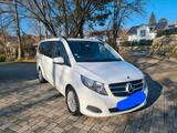 Mercedes-Benz Mercedes Benz V-Klasse 250 CDI Bluetec Lan... - Mercedes-Benz E-Klasse: Van