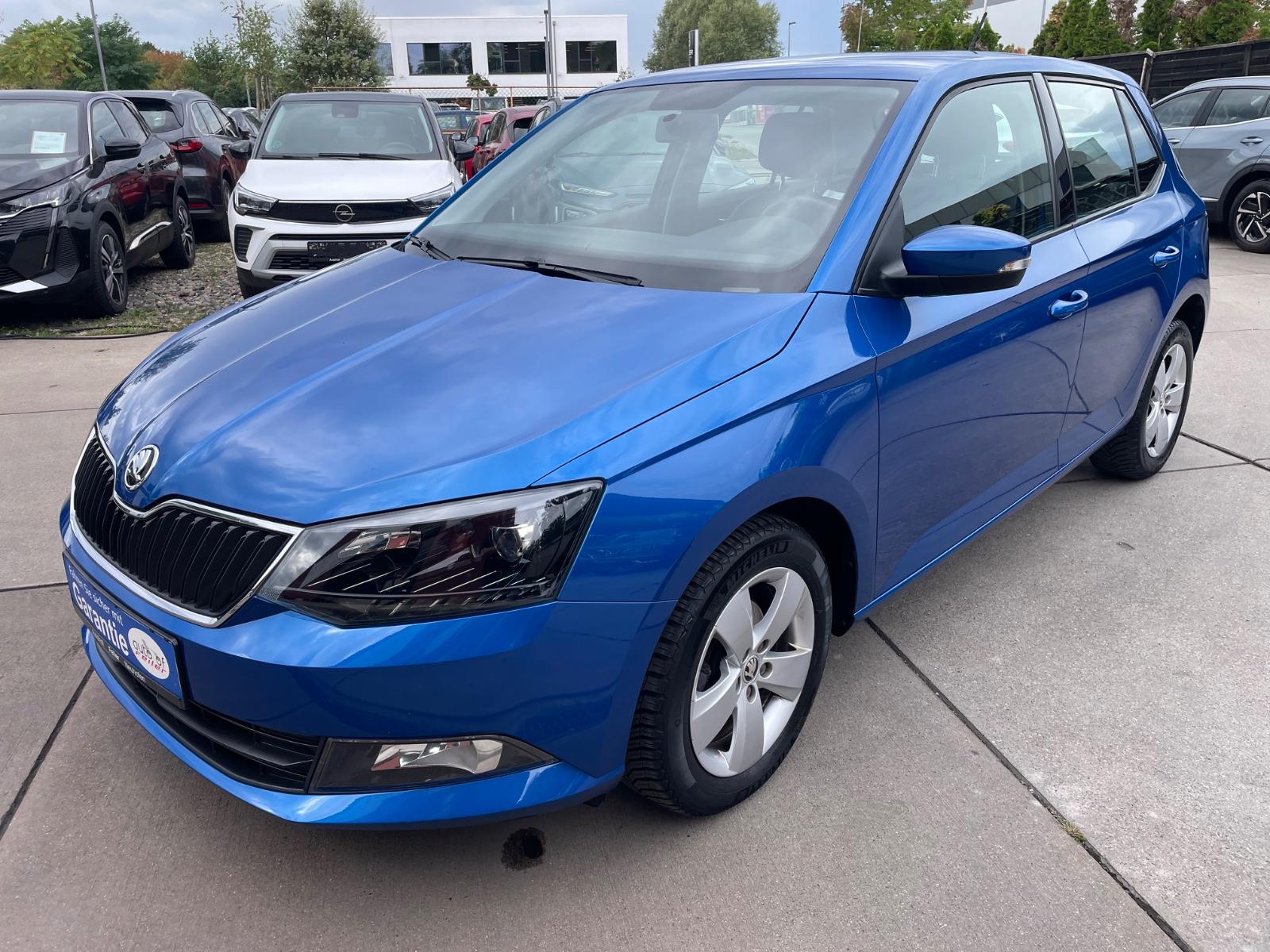 Skoda Fabia Ambition aus 1.Hand/Klima/Servo/PDC/5Tür
