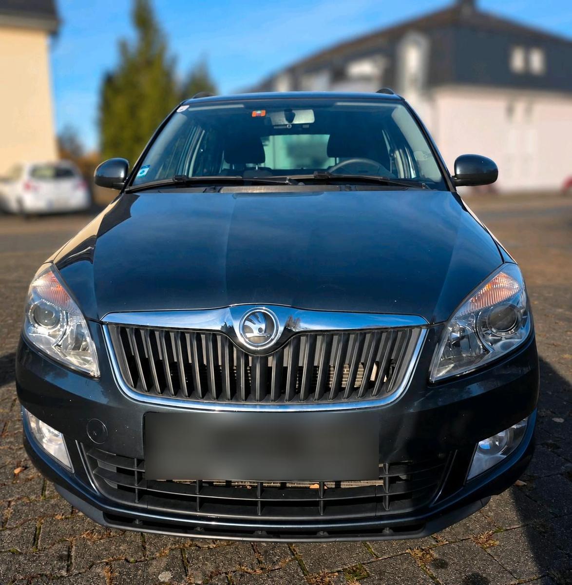 Skoda Fabia 2013 — photo 10