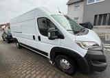 Opel Movano - Opel Movano aus 2022