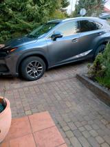 Andere Lexus NX300 - Andere aus 2021