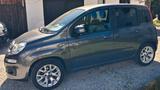 Fiat New Panda 1.2 8V LOUNGE LOUNGE - Fiat New Panda von privat