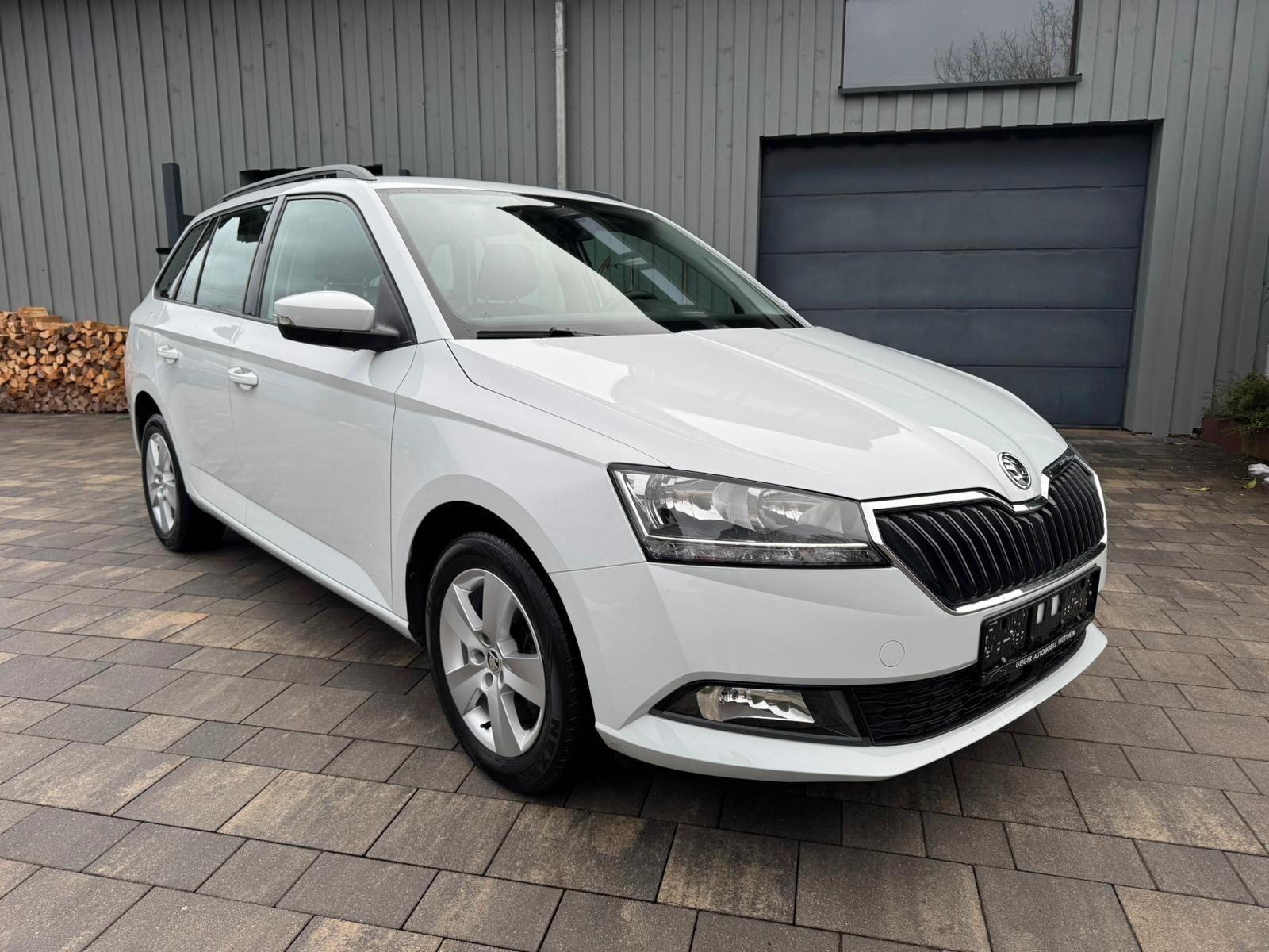 Skoda Fabia Combi Style DSG AHK 1.Hand Kamera DAB