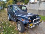 Jeep jeep wrangler 4.0 benzina - Jeep Gebrauchtwagen von 1994
