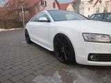 Audi S5 4.2 FSI quattro - - Audi S5 mit Benzin-Antrieb: Leder, Sportwagen, 4.2