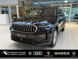 Skoda Kodiaq Selection 2,0 TDI 142 kW 7-Gang-DSG 4x4 S