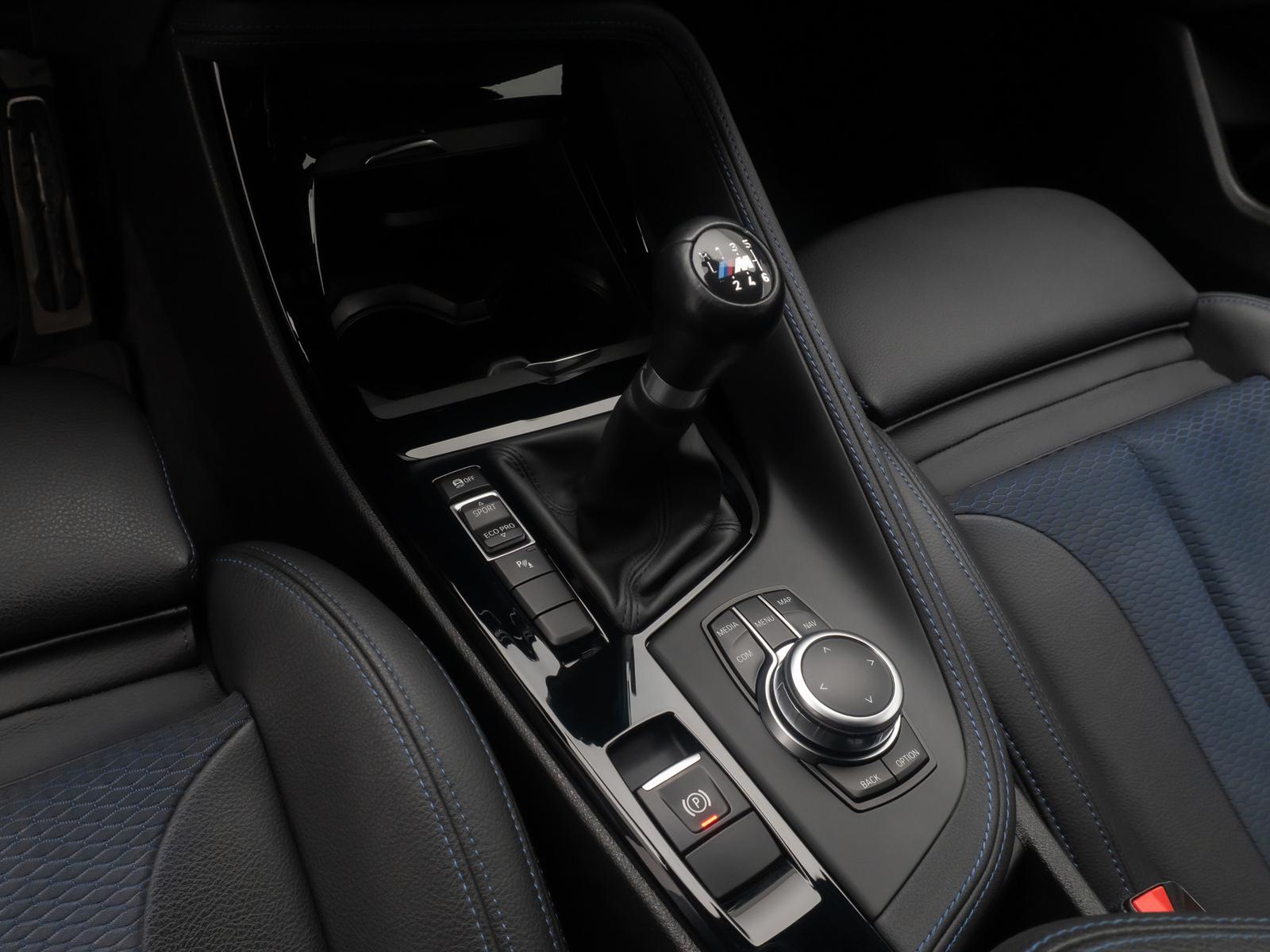 BMW X2 sD18d M Sport DAB Kamera LED ParkAss Navi 19", миниатюра 22