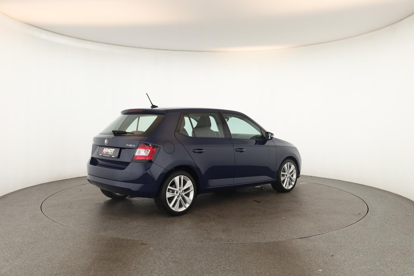 Skoda Fabia 1.0 TSI DSG Style Klima DAB SHZ ACC PDC 17