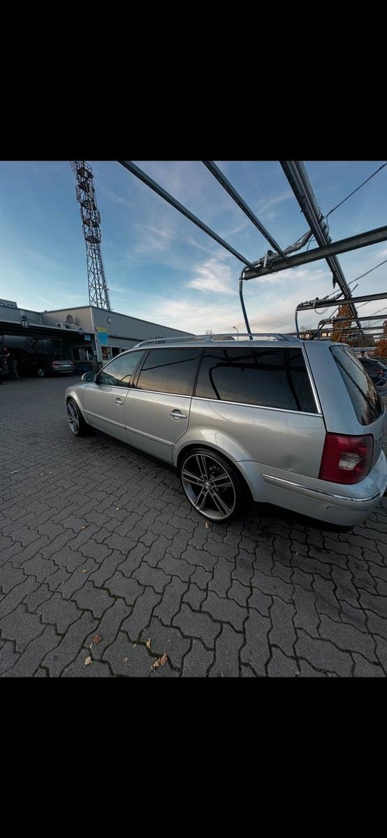 Volkswagen Passat 2004 — вигляд ззаду