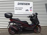 Honda NSS 350 Forza ABS * 1. Hand * 2024 * - Honda Motorräder in Saarbrücken
