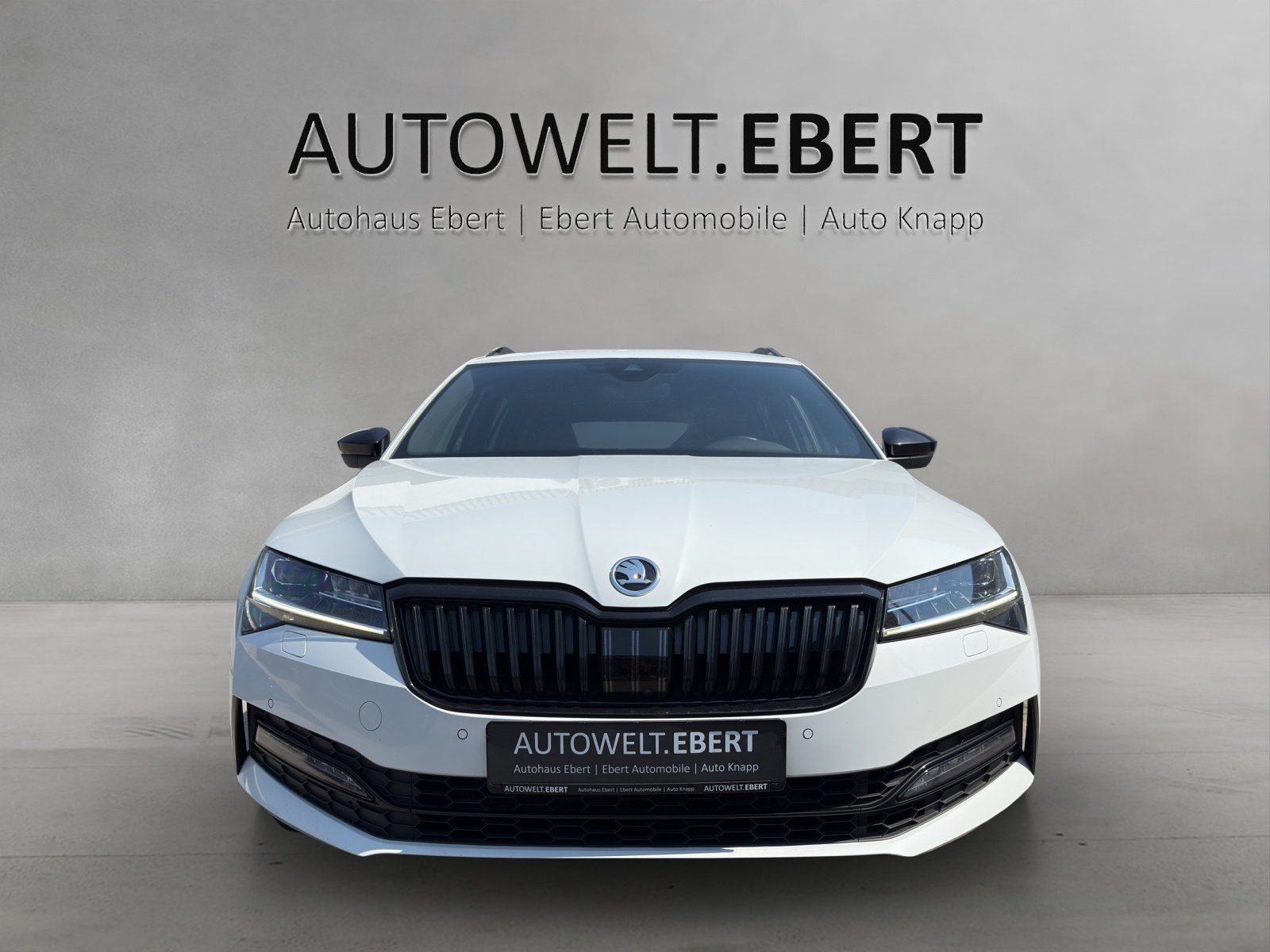 Fahrzeugabbildung SKODA Superb Combi 2.0 TSI Sportline 4x4/AHK/PANO/360°
