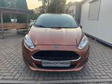 Ford Fiesta Celebration - Ford Fiesta: Celebration