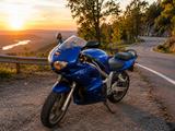 Suzuki SV 650 S-TÜV&Reifen neu - SUZUKI 2003 SV 650