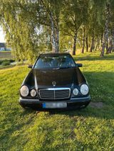 Mercedes-Benz E430 W210 V8 Designo Avantga... - Mercedes-Benz: 210d