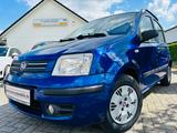 Fiat Panda 1.2 8V Dynamic-1.Hd-Klima-Standheizung-HU- - Fiat Panda in Lübeck