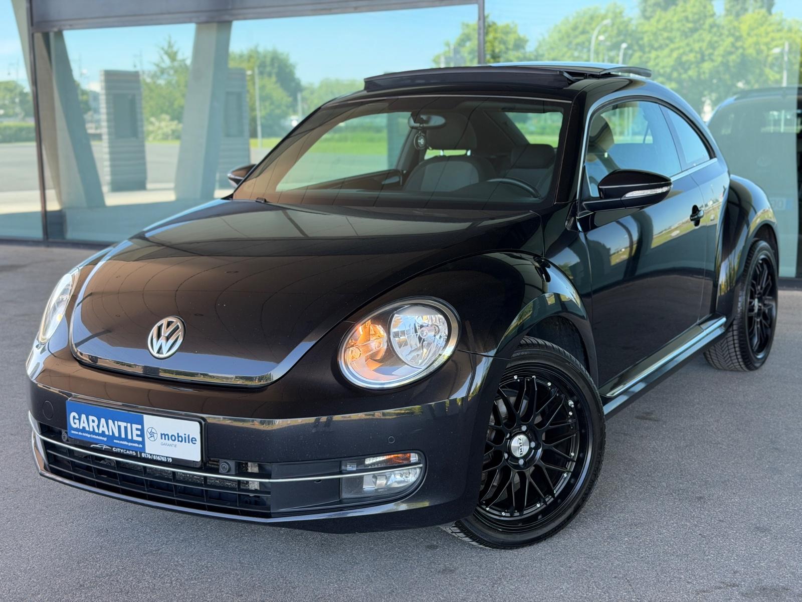 Volkswagen Beetle Lim. Design | PANO | AUTOMATIK |