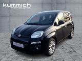 Fiat Panda 1,2 Lounge 69PS - Fiat Panda: Schwarz