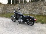 Harley-Davidson Sportster Superlow XL883L Schmuckstück  - Angebote entsprechen deinen Suchkriterien