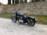Harley-Davidson Sportster Superlow XL883L Schmuckstück  - HARLEY-DAVIDSON 883