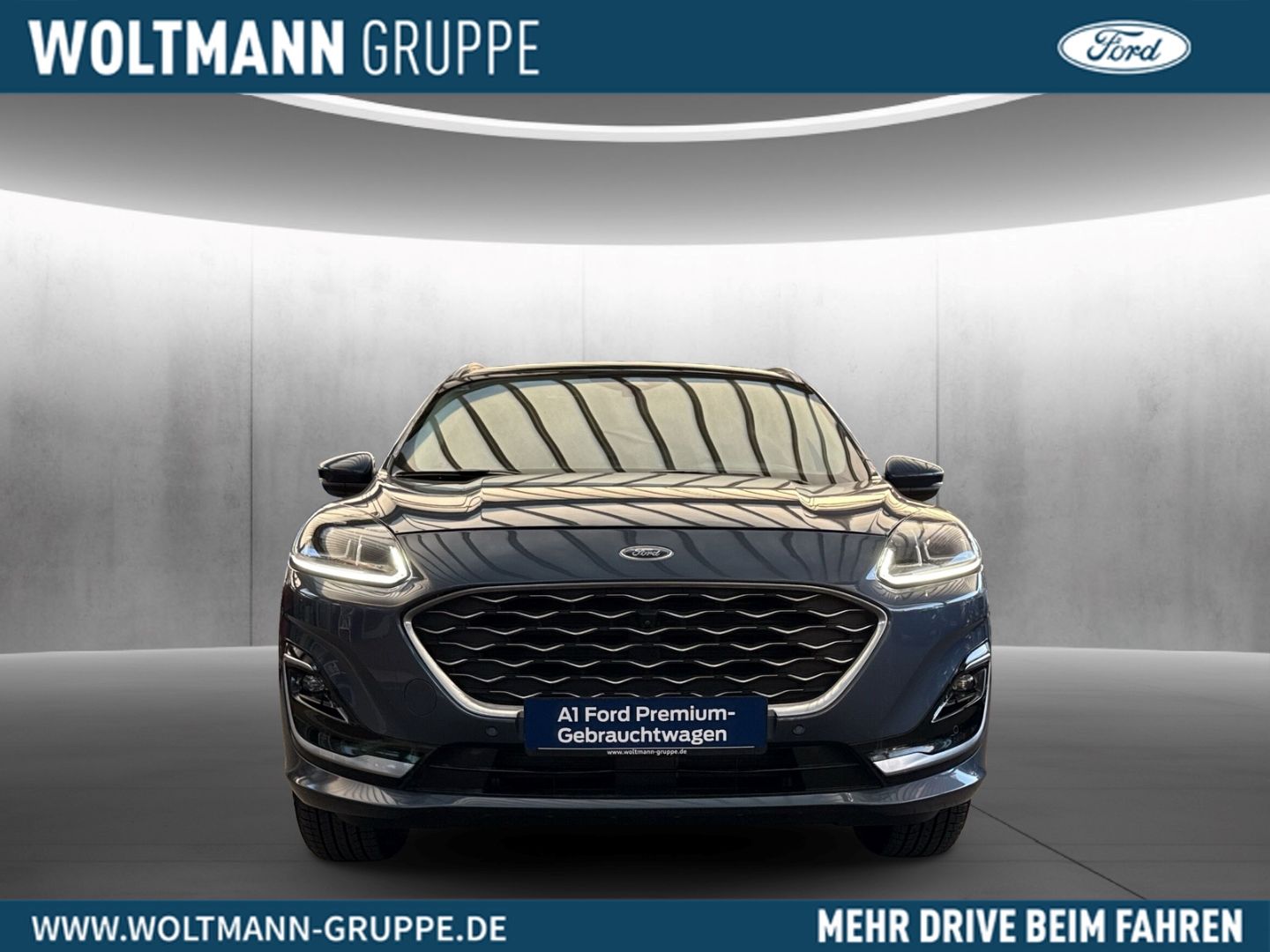 Fahrzeugabbildung Ford Kuga Hybrid Vignale/Hagelschaden/AHK schwenkb/Pa