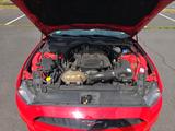 Ford Mustang 2.3 EcoBoost auto - - Ford Mustang: 2.3