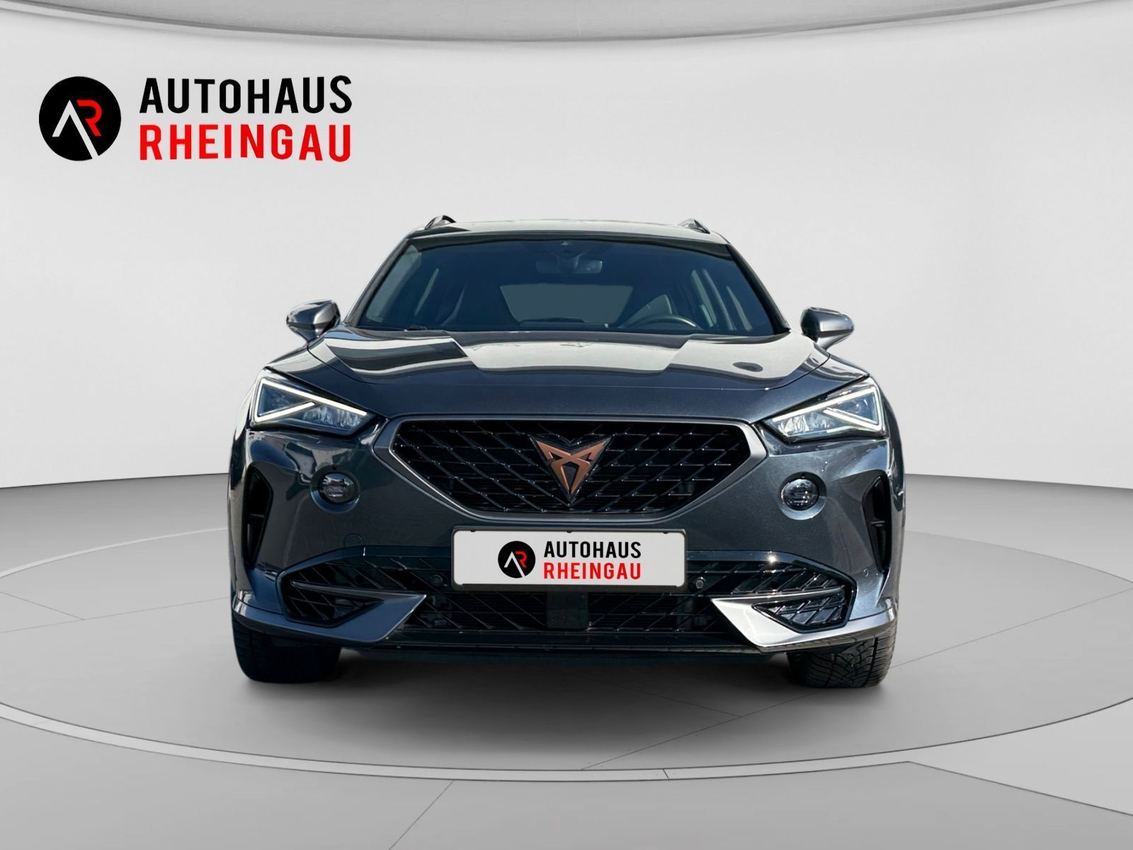 Fahrzeugabbildung CUPRA Formentor VZ 2.0 TSI 4Drive ACC FULL LINK