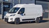 Affinity Freedo 541 Premium - Offers matching your search criteria