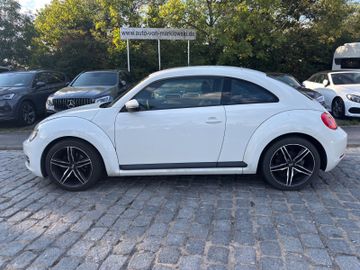Volkswagen Beetle - 8