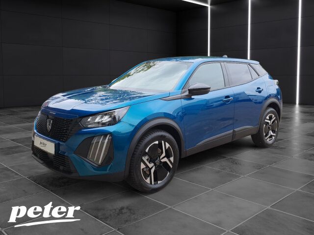 Peugeot 2008 Business 110 +180°Kamera+Allwetter+NAV+