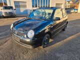 Volkswagen Lupo 1.0 BASIS - Volkswagen Lupo in München