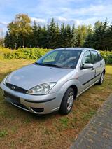 Ford Focus 1.6  16V - Ford Focus: 16 16v